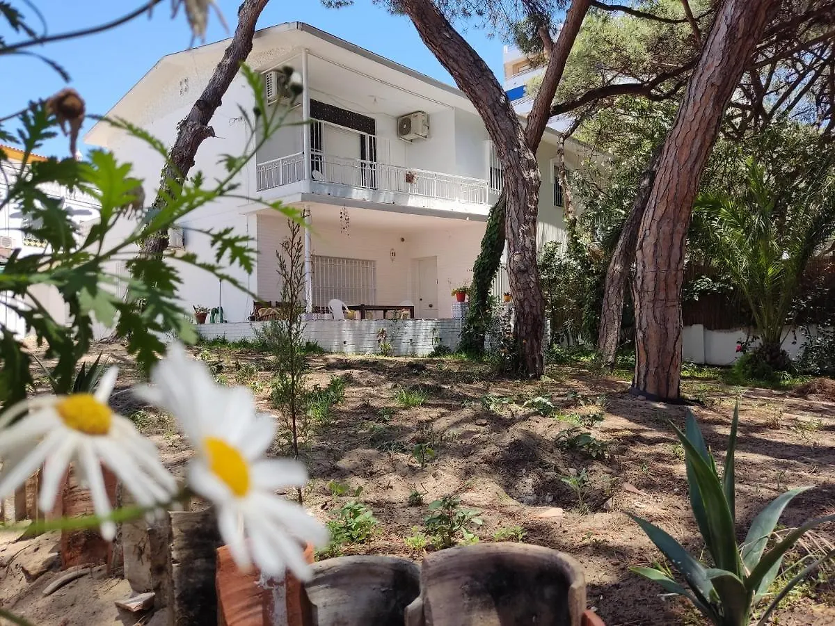 Chalet Chale Santa Maria Villa Punta Umbria